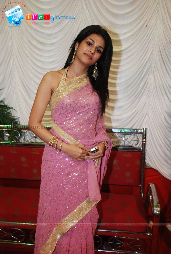 Shaan, Moushmi Chaterjee,Rupa Ganguly at Durga pooja Event hd photo